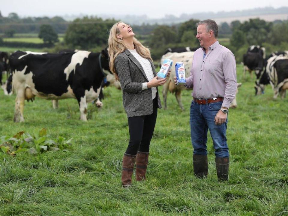 woman and man laughing in field in front of cows