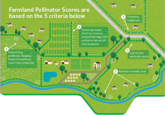 Farmland Pollinator Score
